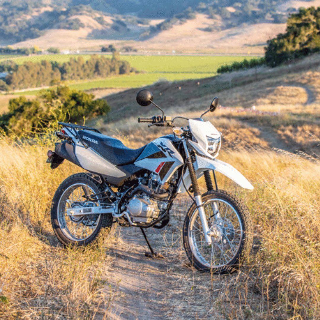 Honda XR150L - ScooterSwapShop