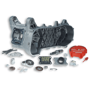 Malossi RC ONE Engine Case - ScooterSwapShop