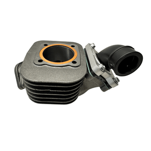 Polini Evolution Cylinder kit - Minarelli Vertical - ScooterSwapShop