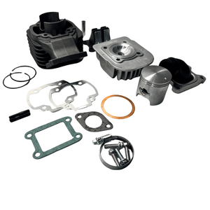 Polini Evolution Cylinder kit - Minarelli Vertical - ScooterSwapShop
