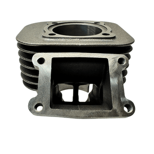 Polini Evolution Cylinder kit - Minarelli Vertical - ScooterSwapShop