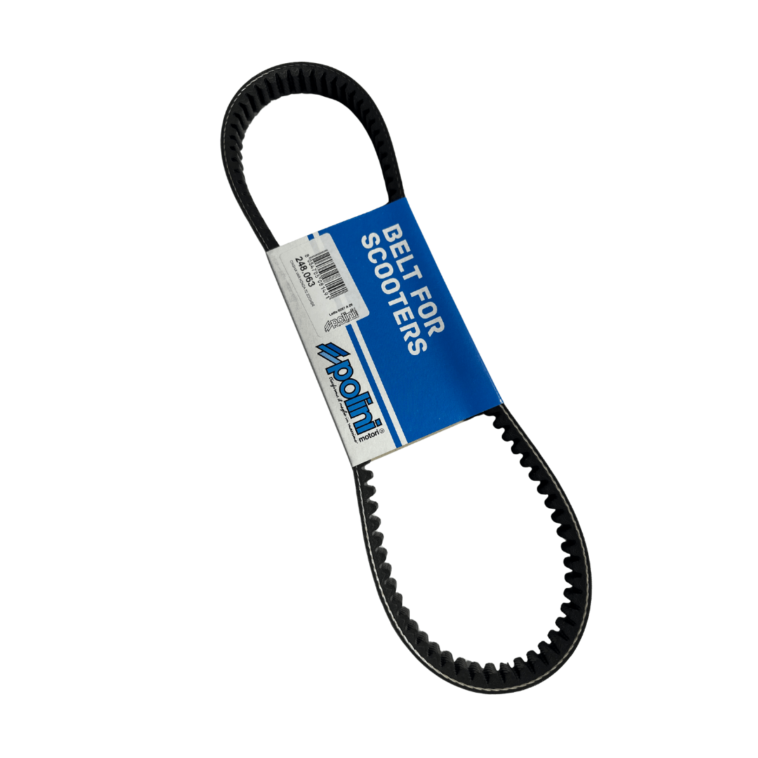 Ruckus Polini belt - ScooterSwapShop