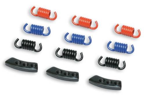 Malossi Delta/Fly spring/weight kit - ScooterSwapShop