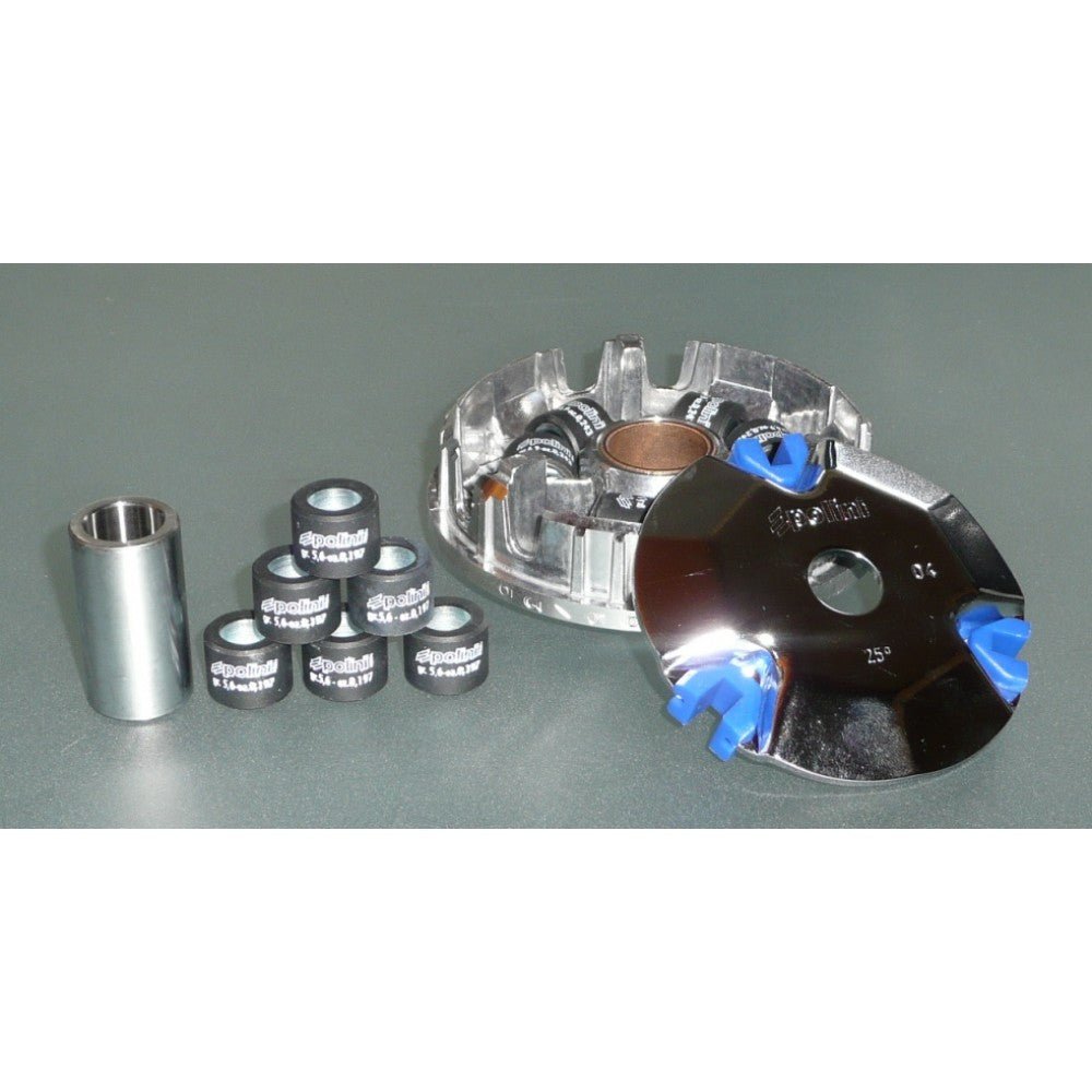 Polini variator ruckus - ScooterSwapShop